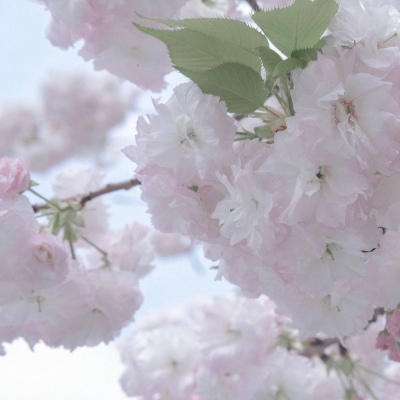 Furry绘画技巧合集FurryQQ群